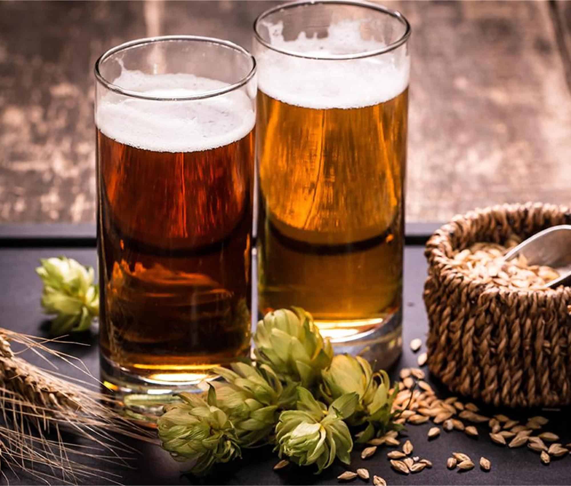 madera Aleta bancarrota Diferencia entre cerveza artesanal y cerveza industrial?-YoLong Brewtech