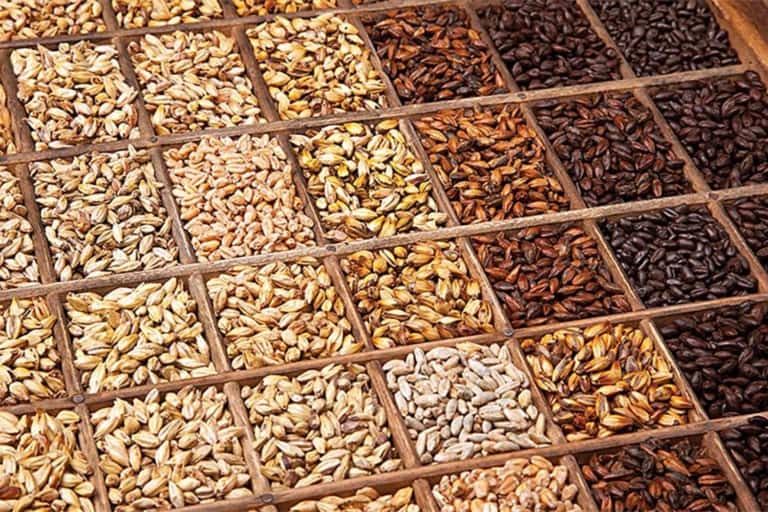 Raw materials for brewing beer – malt