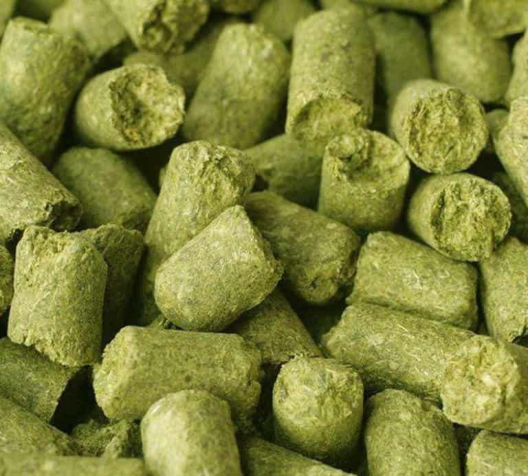 Dry Hops