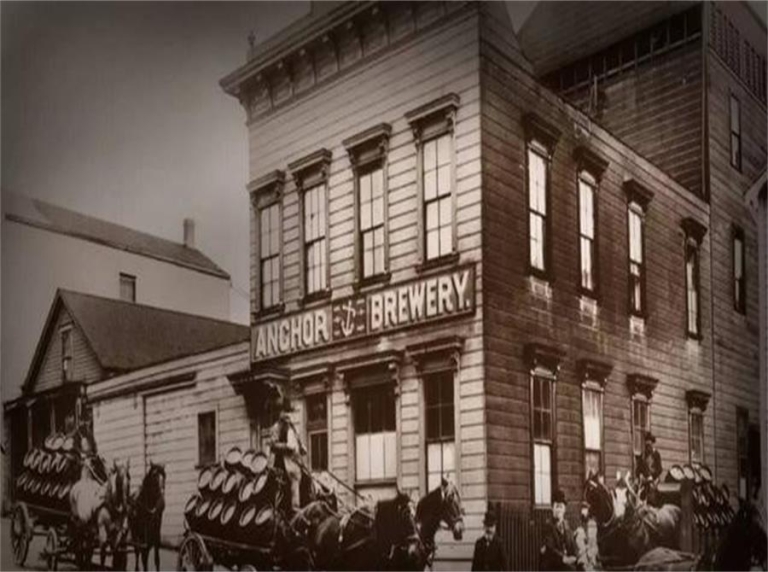 Beer History in a Nutshell