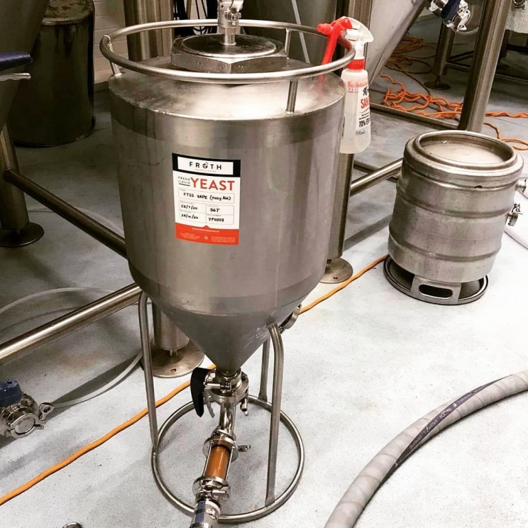 How to recycle the yeast of the brewery ?