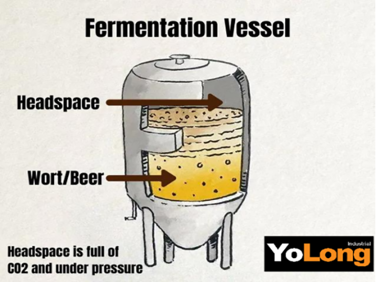 Size Matters: How much headspace do you need in a fermenter?