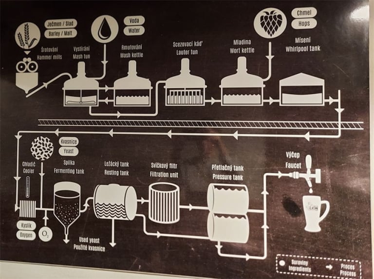 Beer brewing process