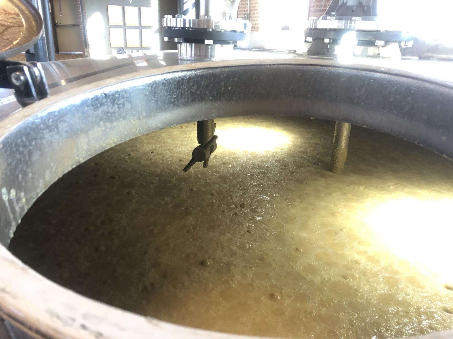 fermentation process