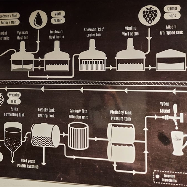 Beer brewing process